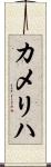 カメリハ Scroll