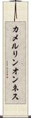 カメルリンオンネス Scroll
