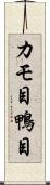 カモ目 Scroll