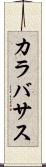 カラバサス Scroll