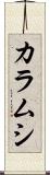 カラムシ Scroll