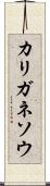 カリガネソウ Scroll