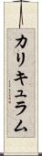 カリキュラム Scroll