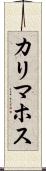 カリマホス Scroll