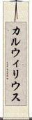 カルウィリウス Scroll