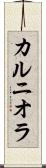 カルニオラ Scroll