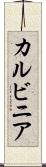 カルビニア Scroll