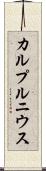 カルプルニウス Scroll