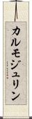 カルモジュリン Scroll