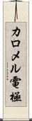 カロメル電極 Scroll