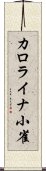 カロライナ小雀 Scroll