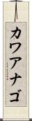 カワアナゴ Scroll