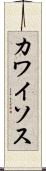 カワイソス Scroll