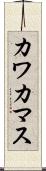カワカマス Scroll