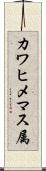 カワヒメマス属 Scroll