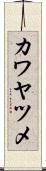 カワヤツメ Scroll