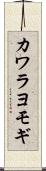 カワラヨモギ Scroll