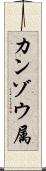 カンゾウ属 Scroll