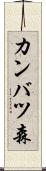 カンバツ森 Scroll