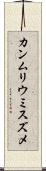 カンムリウミスズメ Scroll