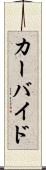 カーバイド Scroll