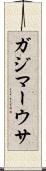 ガジマーウサ Scroll