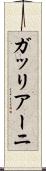 ガッリアーニ Scroll