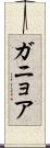 ガニョア Scroll