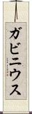 ガビニウス Scroll