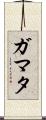 ガマタ Scroll