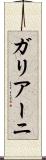 ガリアーニ Scroll
