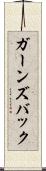 ガーンズバック Scroll
