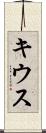 キウス Scroll