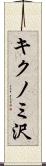 キクノミ沢 Scroll