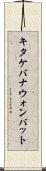 キタケバナウォンバット Scroll