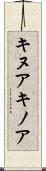 キヌア Scroll