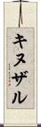 キヌザル Scroll