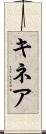 キネア Scroll