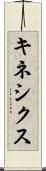 キネシクス Scroll
