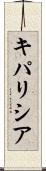 キパリシア Scroll