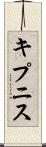 キプニス Scroll