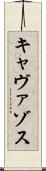 キャヴァゾス Scroll