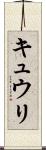 キュウリ Scroll