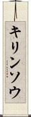 キリンソウ Scroll