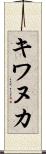 キワヌカ Scroll