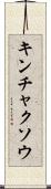 キンチャクソウ Scroll
