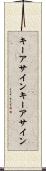 キーアサイン Scroll