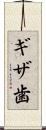 ギザ歯 Scroll
