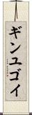 ギンユゴイ Scroll