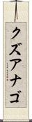 クズアナゴ Scroll